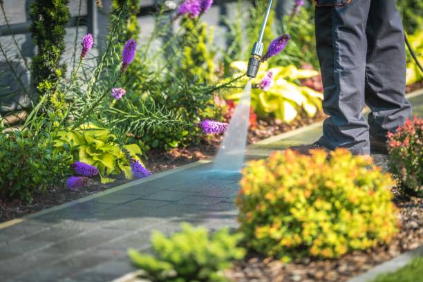 Best Warehouse Cleaning  in Bellwood, IL