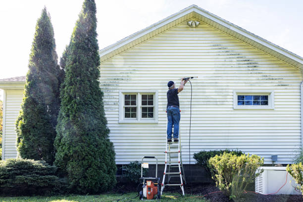 Best Dumpster Area Cleaning  in Bellwood, IL
